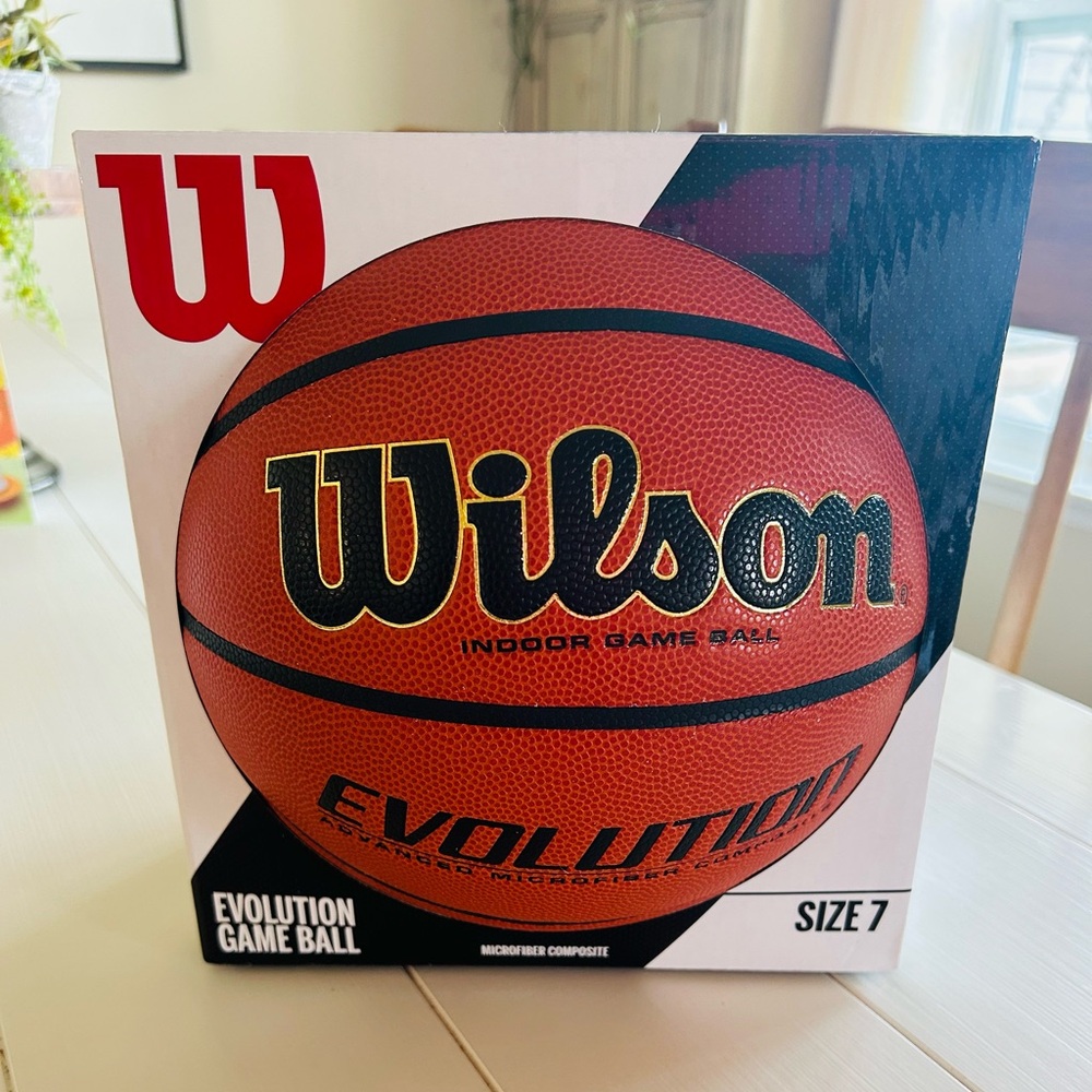 Wilson Evolution Basketball